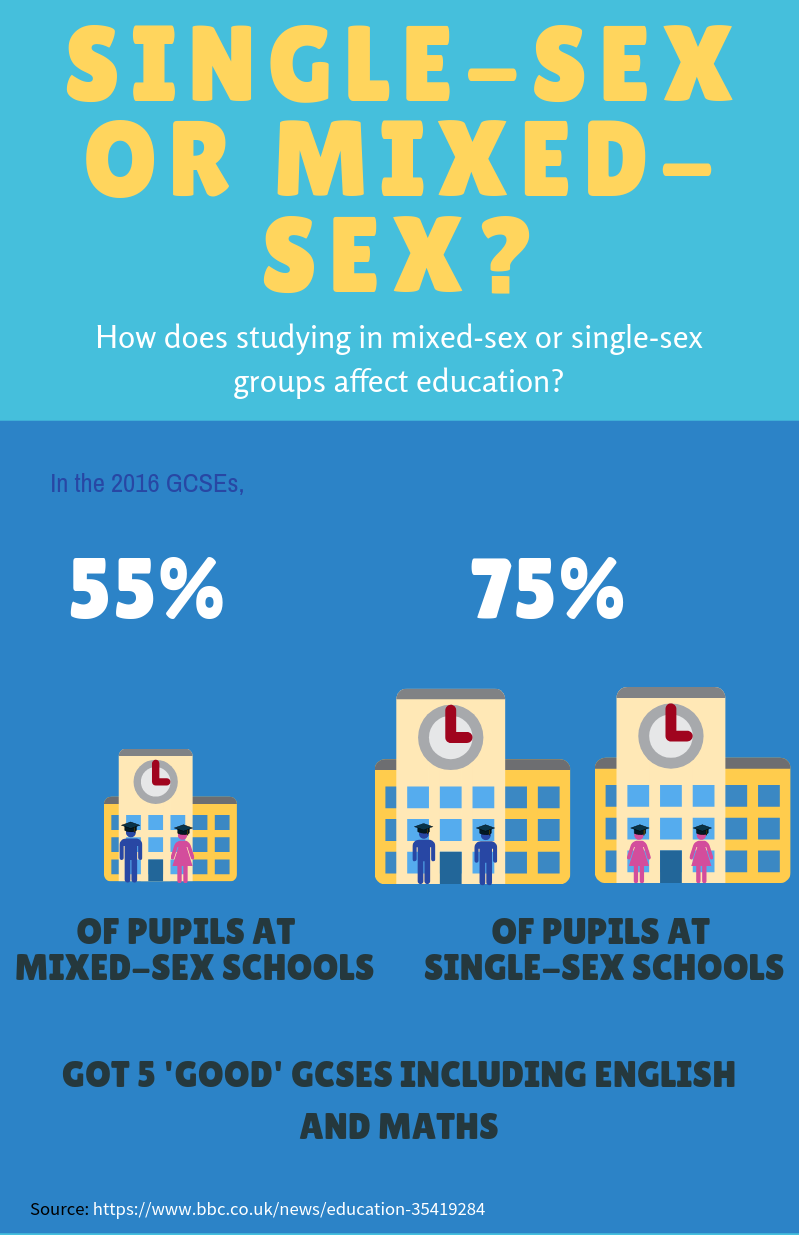 Co-ed school infographic