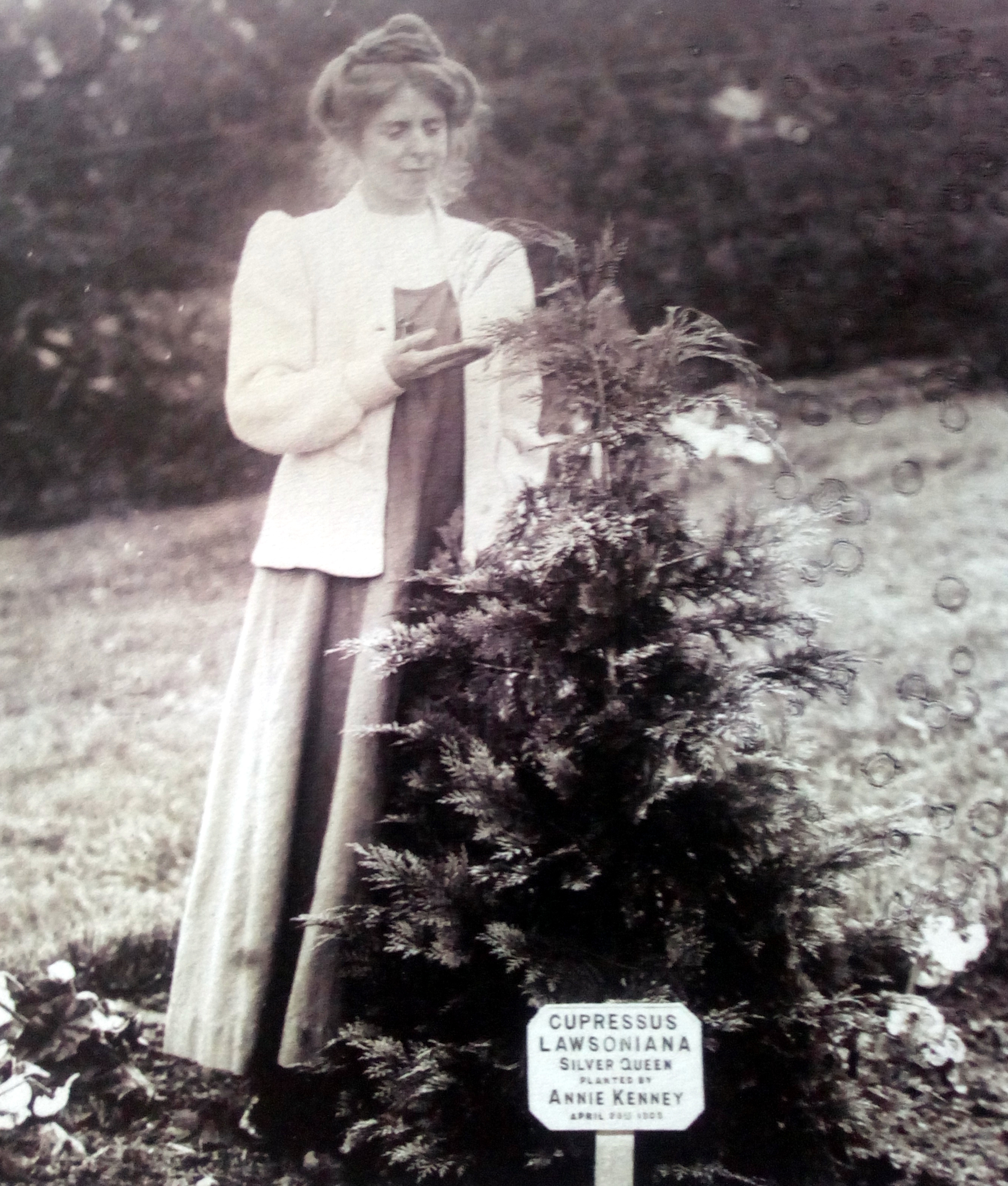 Annie Kenney planting a tree