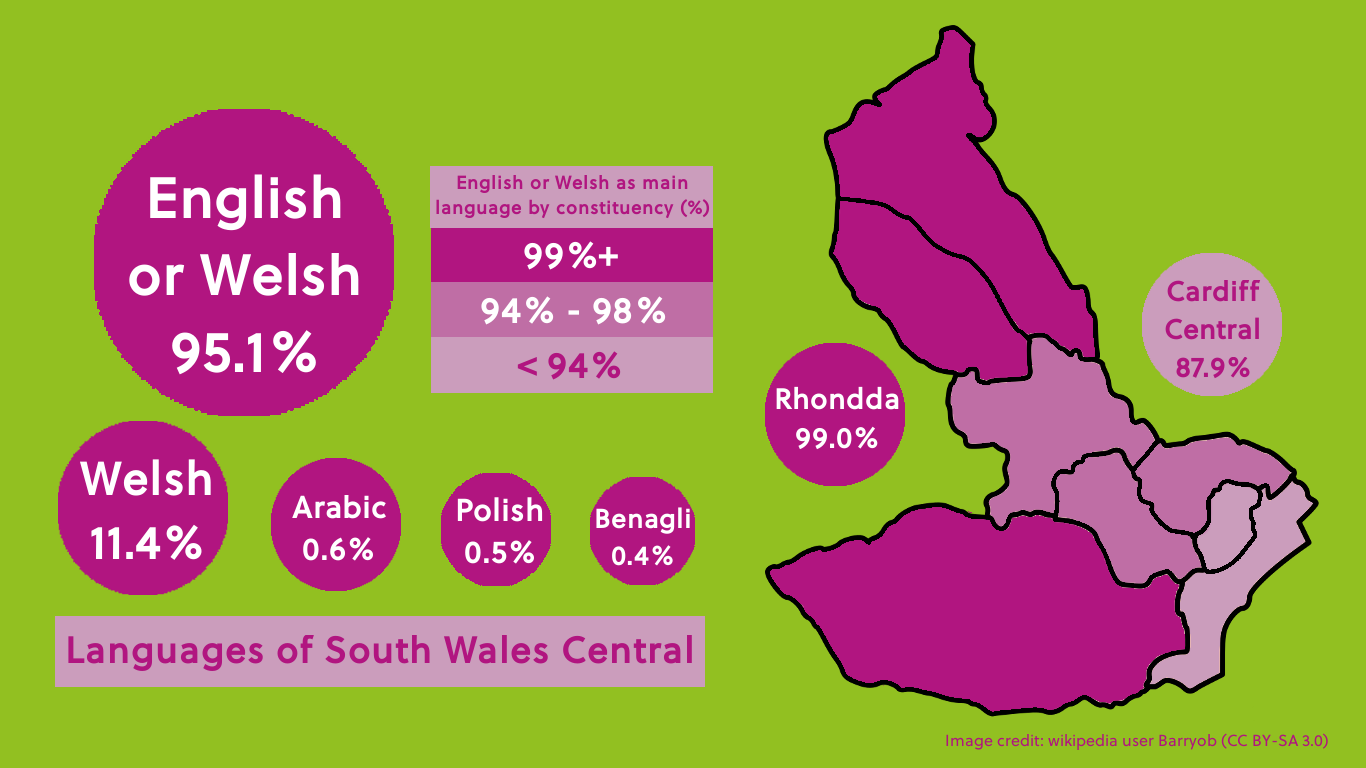 Languages spoken in Cardiff visual 