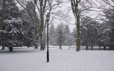Photo of a snowy landscape resembling Narnia
