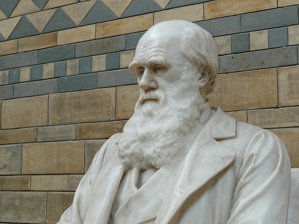 A bust of Darwin. 