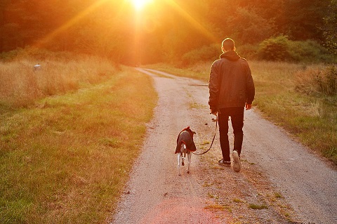 Image of a man and a dog