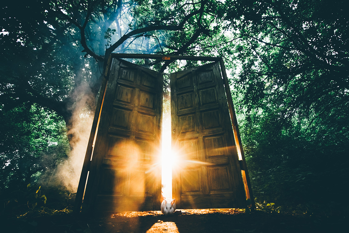 Magical door in the middle of a forest