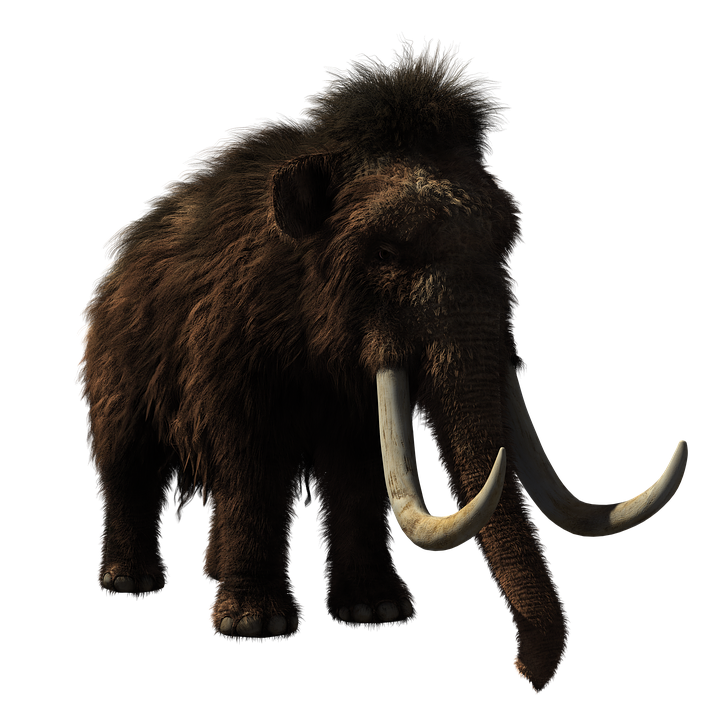 Image of a woolly mammoth