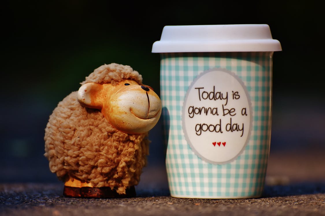 Ornamental sheep next to a take-away mug which reads: 'Today is gonna be a good day'. 